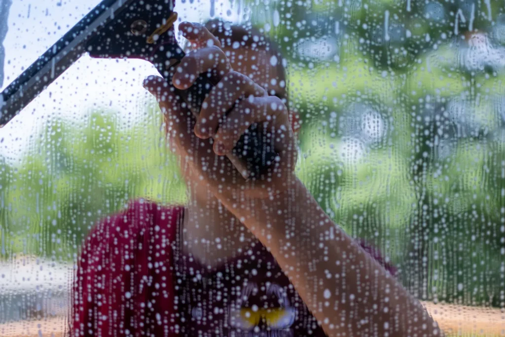 professional window cleaning dacula slide5