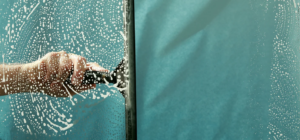 professional window cleaning gainesville option 1